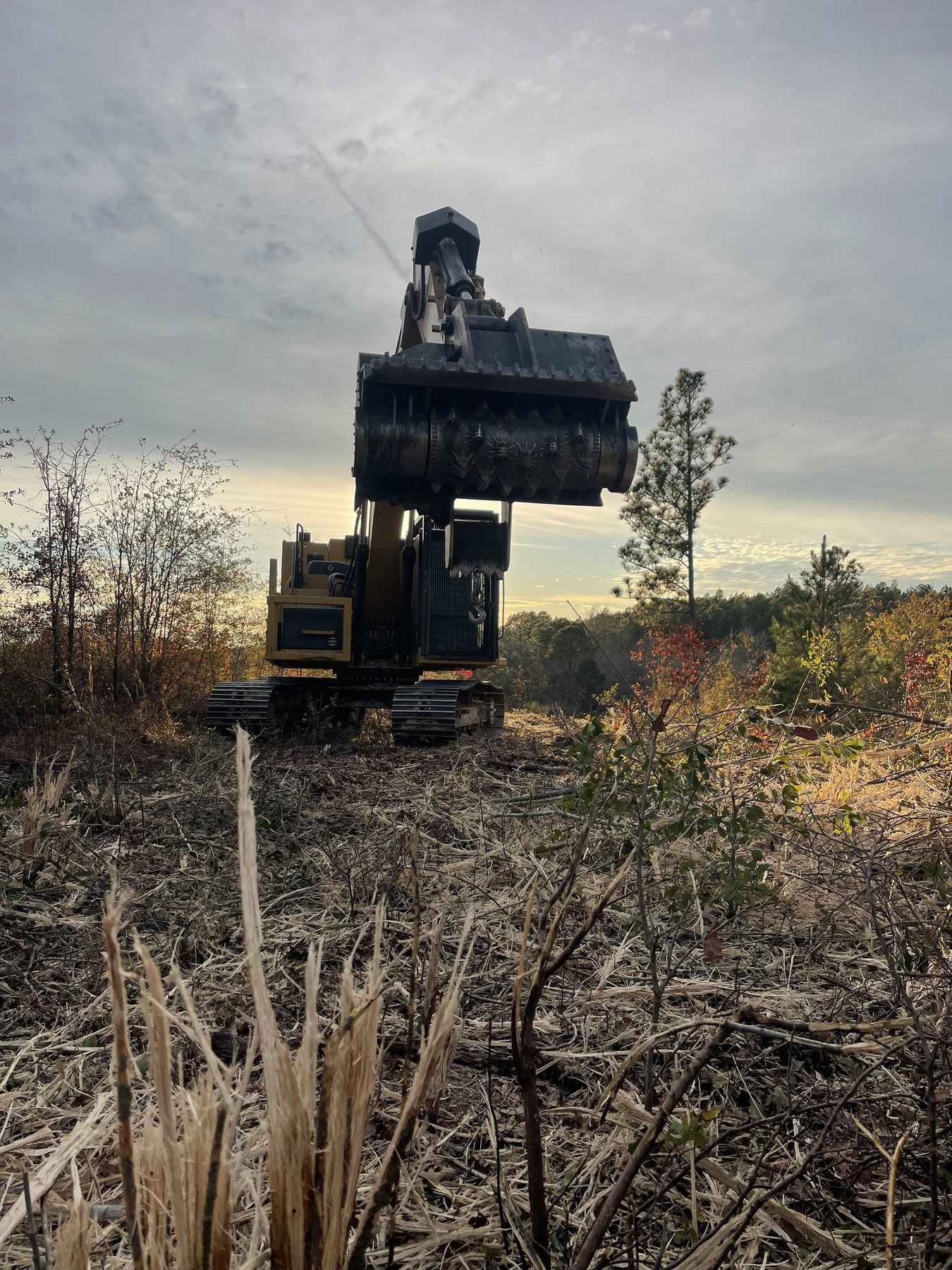 CAT excavator on a cleared right-of-way through timber